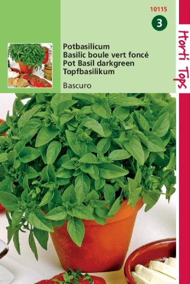 Basil Greek Bascuro (Ocimum minimum) 900 seeds HT